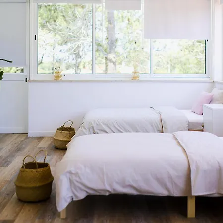 Surf & Yoga Retreats Portugal Affittacamere